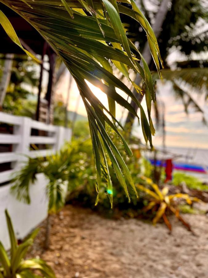 Amami Beachfront Villa With Private Beach Пуэрто-Галера Экстерьер фото