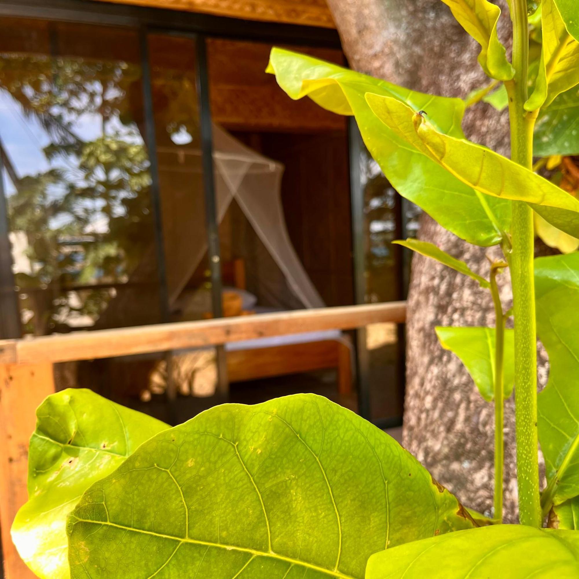 Amami Beachfront Villa With Private Beach Пуэрто-Галера Экстерьер фото
